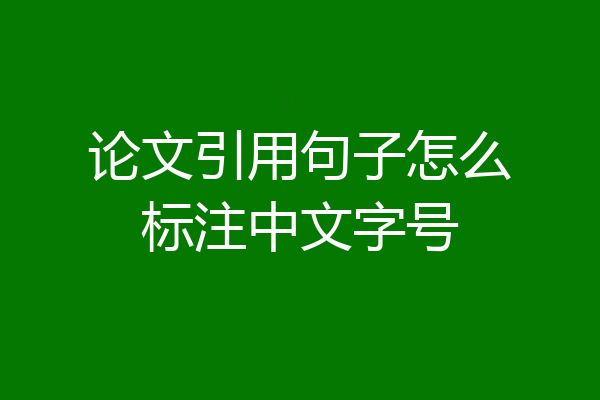 论文引用句子怎么标注中文字号