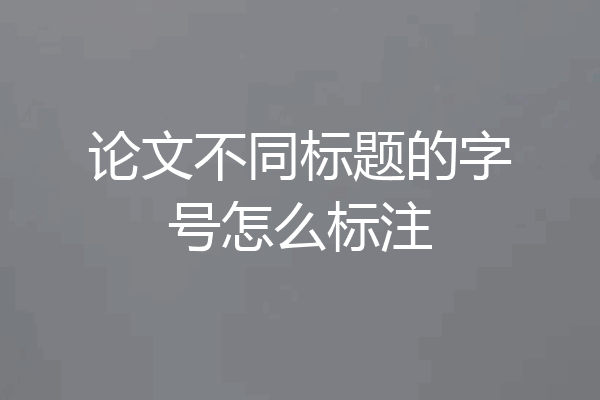 论文不同标题的字号怎么标注