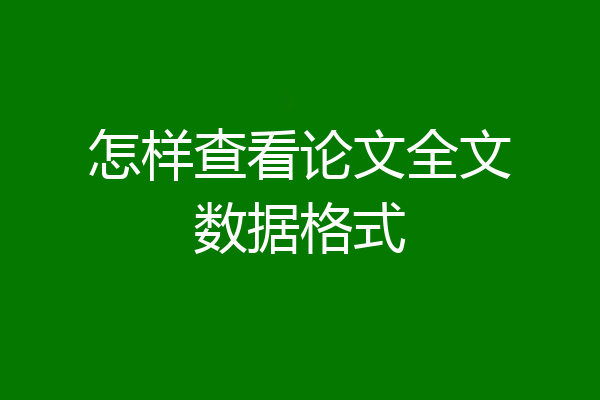 怎样查看论文全文数据格式