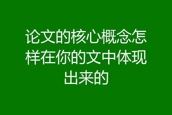 论文的核心概念怎样在你的文中体现出来的