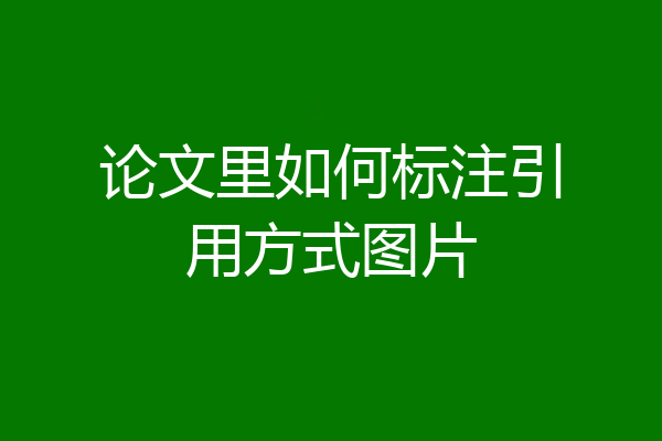 论文里如何标注引用方式图片