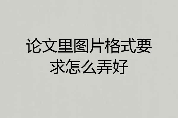 论文里图片格式要求怎么弄好