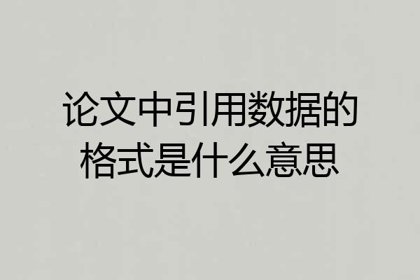 论文中引用数据的格式是什么意思
