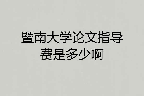 暨南大学论文指导费是多少啊