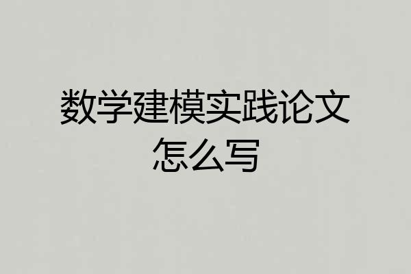 数学建模实践论文怎么写