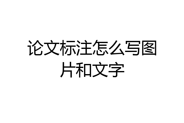 论文标注怎么写图片和文字