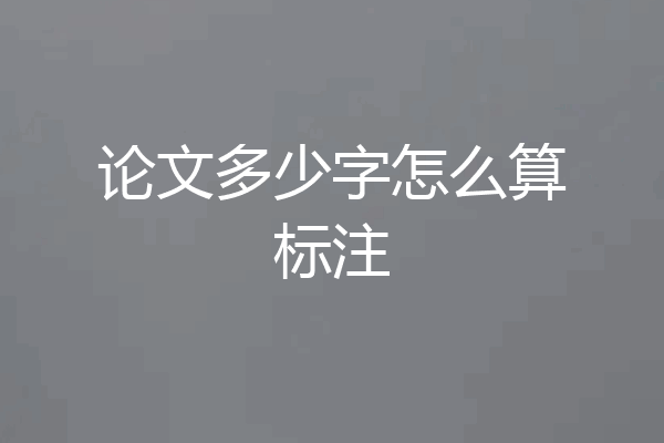论文多少字怎么算标注