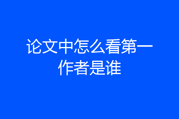 论文中怎么看第一作者是谁