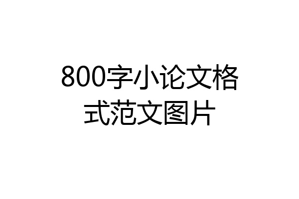 800字小论文格式范文图片