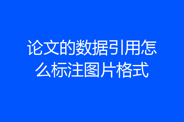 论文的数据引用怎么标注图片格式
