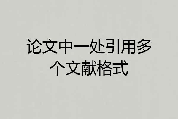 论文中一处引用多个文献格式