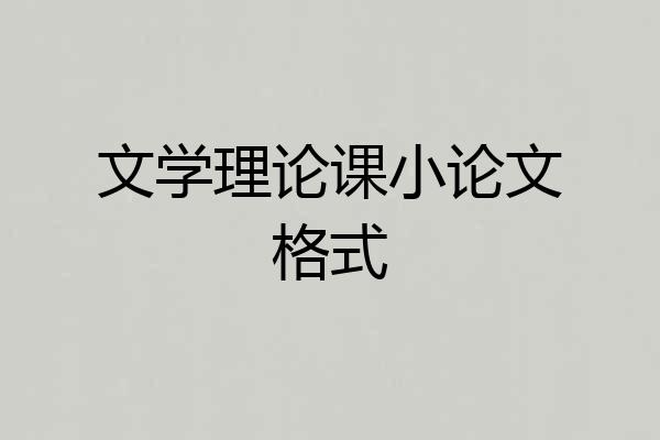 文学理论课小论文格式