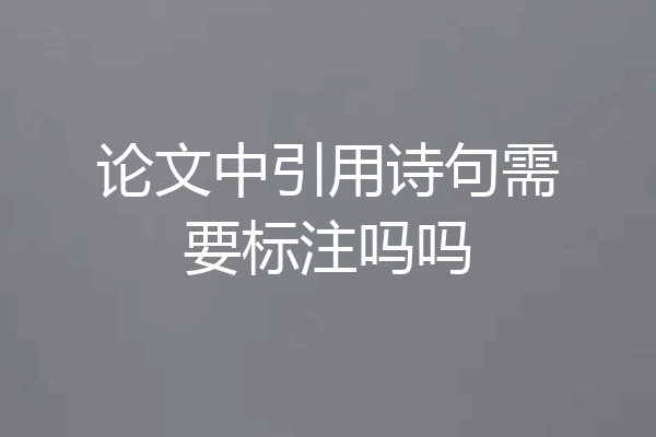 论文中引用诗句需要标注吗吗