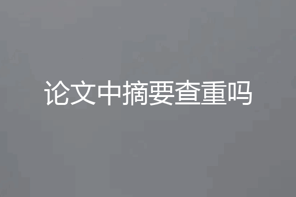 论文中摘要查重吗