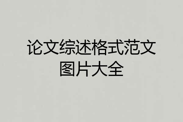 论文综述格式范文图片大全