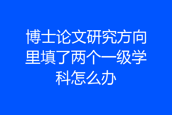 博士论文研究方向里填了两个一级学科怎么办