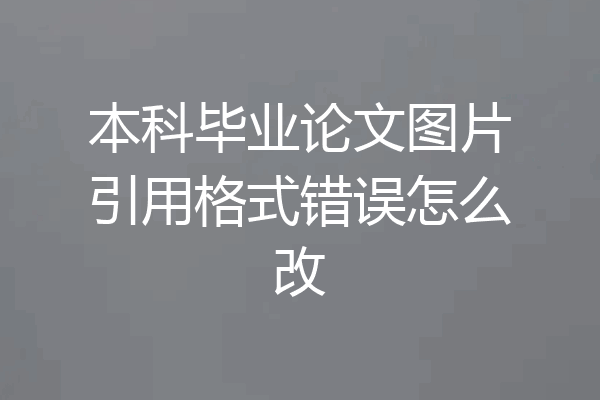 本科毕业论文图片引用格式错误怎么改