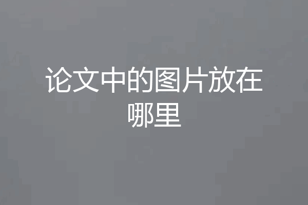 论文中的图片放在哪里