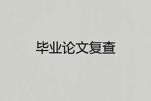 毕业论文复查
