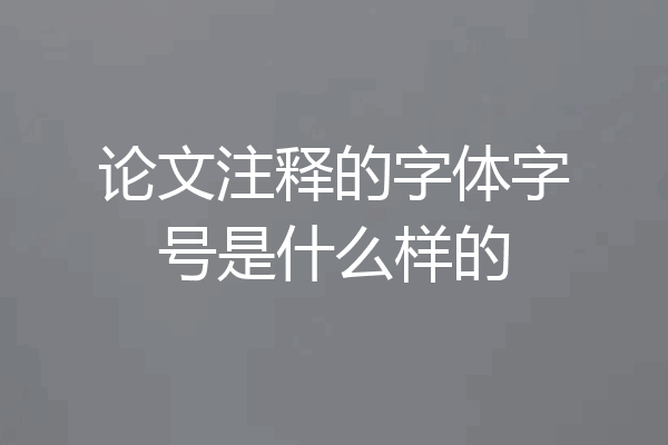 论文注释的字体字号是什么样的