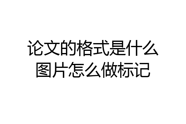论文的格式是什么图片怎么做标记