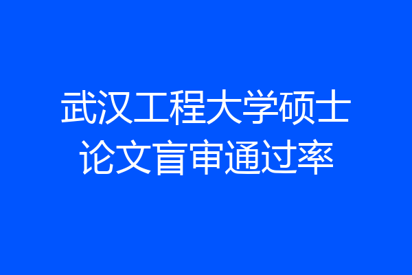 武汉工程大学硕士论文盲审通过率