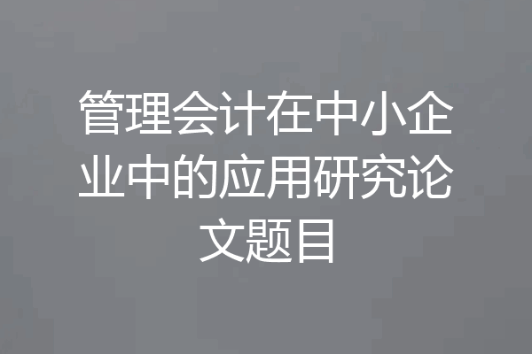 管理会计在中小企业中的应用研究论文题目