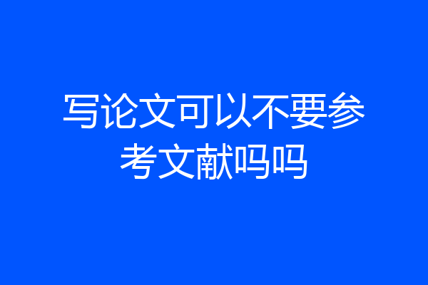写论文可以不要参考文献吗吗
