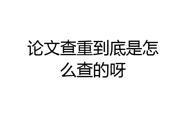 论文查重到底是怎么查的呀