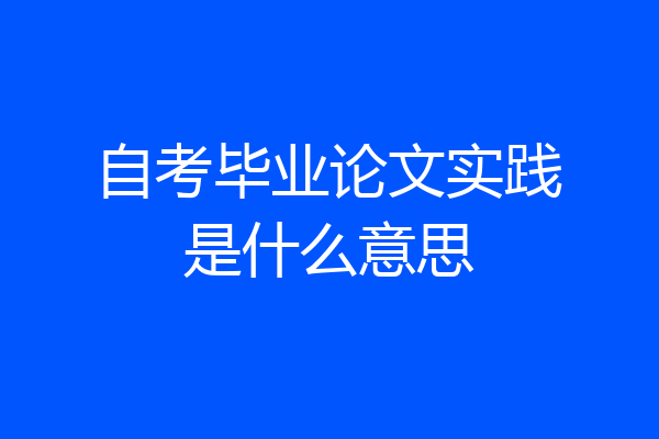 自考毕业论文实践是什么意思