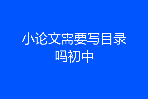小论文需要写目录吗初中