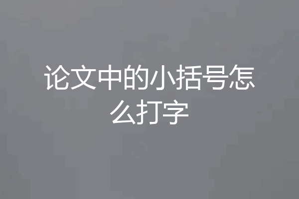论文中的小括号怎么打字