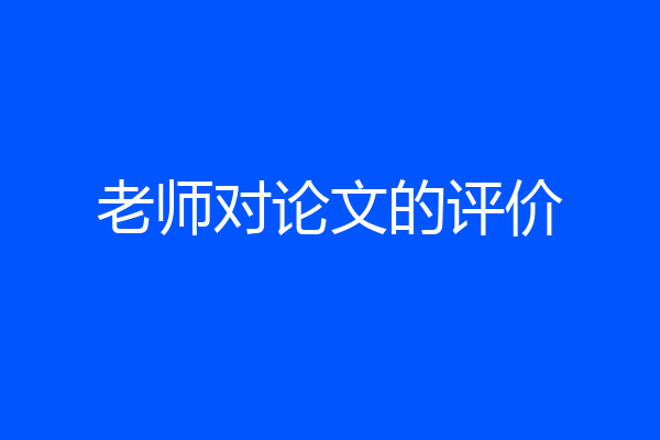 老师对论文的评价