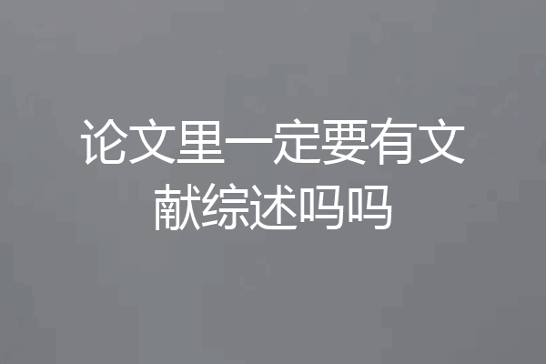 论文里一定要有文献综述吗吗