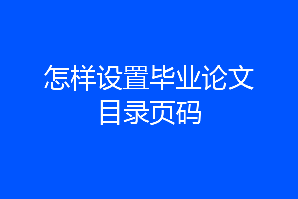 怎样设置毕业论文目录页码