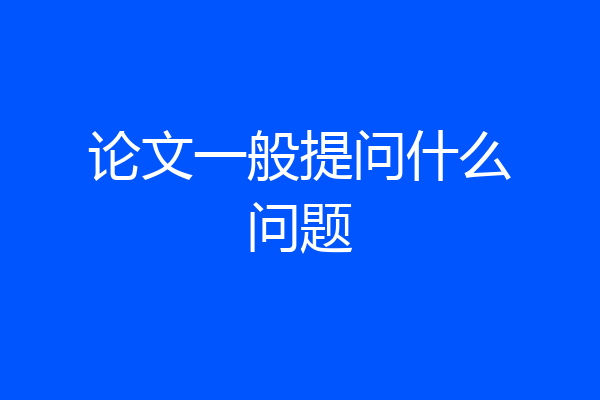 论文一般提问什么问题