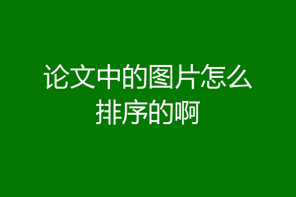论文中的图片怎么排序的啊