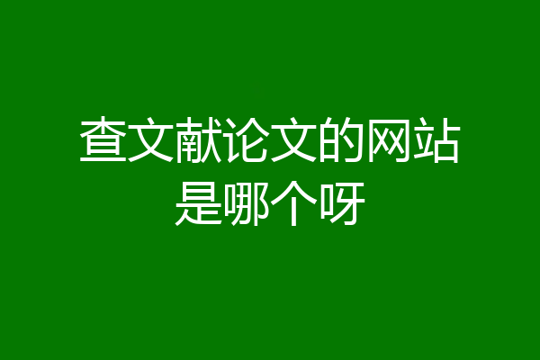 查文献论文的网站是哪个呀