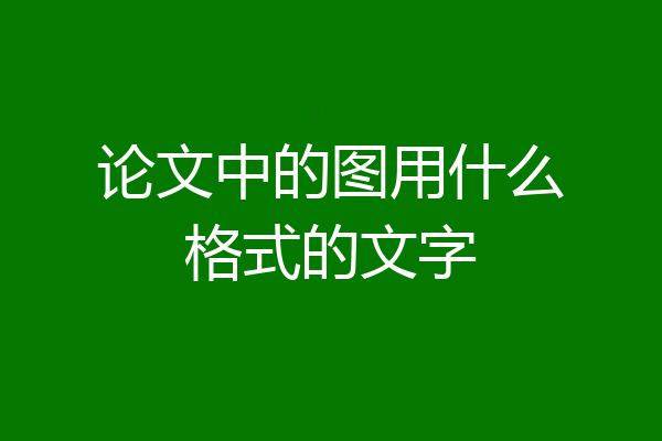 论文中的图用什么格式的文字
