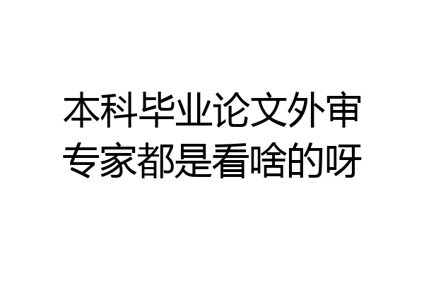 本科毕业论文外审专家都是看啥的呀