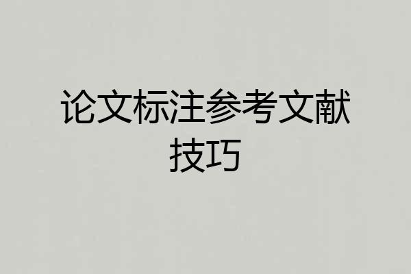 论文标注参考文献技巧