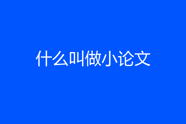 什么叫做小论文