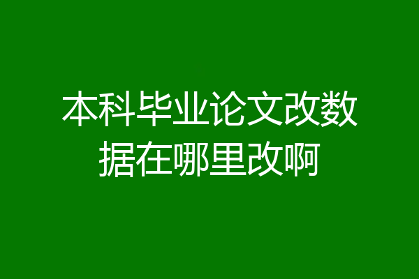 本科毕业论文改数据在哪里改啊