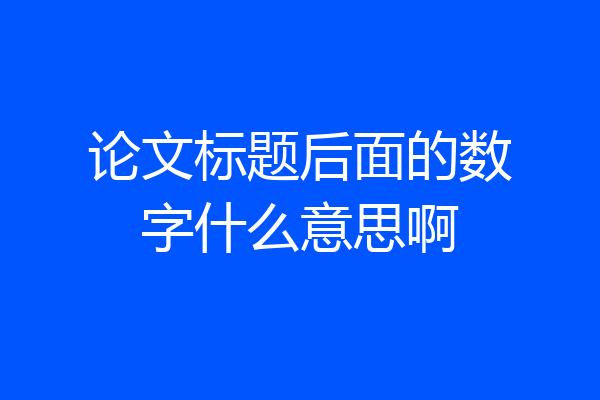 论文标题后面的数字什么意思啊
