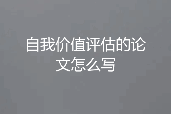 自我价值评估的论文怎么写