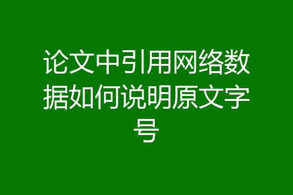 论文中引用网络数据如何说明原文字号