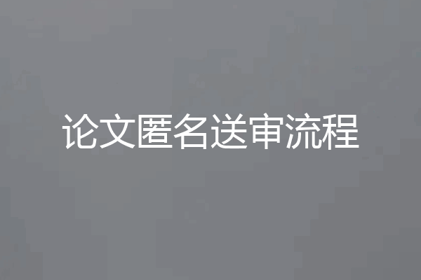 论文匿名送审流程