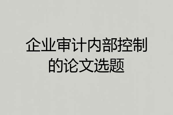 企业审计内部控制的论文选题