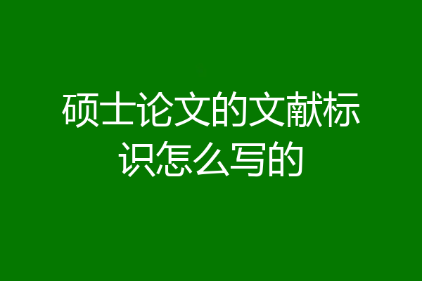 硕士论文的文献标识怎么写的