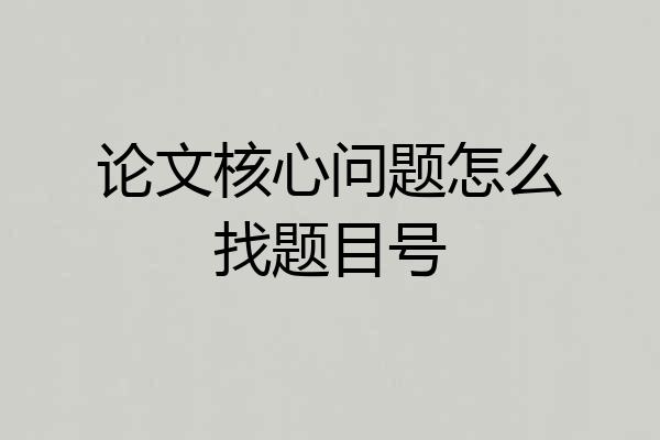 论文核心问题怎么找题目号